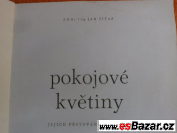 Pokojové květiny - autor Jan Sítař – fotografie 2