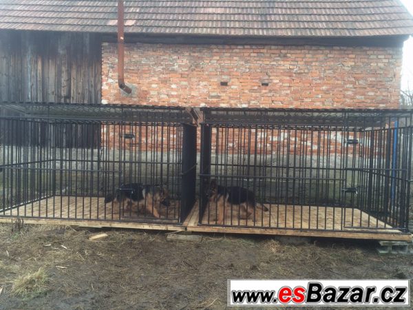 Nový kotec pro psa  – fotografie 1