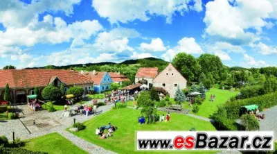 ošetřovatel koní - stájník, trenér