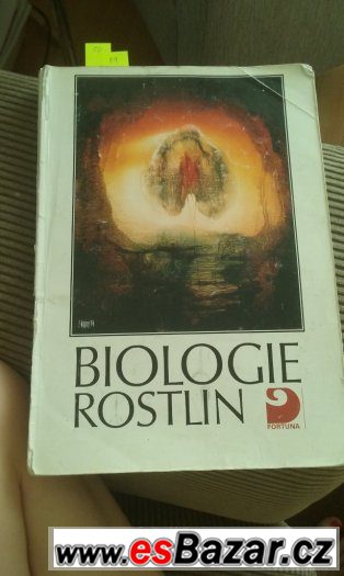 Biologie rostlin – fotografie 1