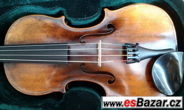 Malá viola – fotografie 1