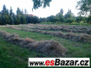 Kvalitní seno nebo tráva z louky – fotografie 1