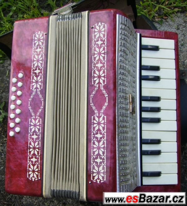 Harmonika – fotografie 1