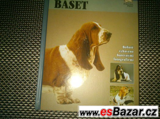 Kniha Baset . Autor Evelyn Elizabeth Lanyonová cena 89 kč – fotografie 1