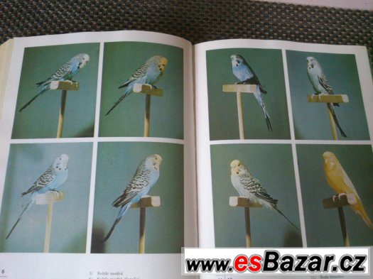 Kniha Chováme Andulky        69 kč – fotografie 2