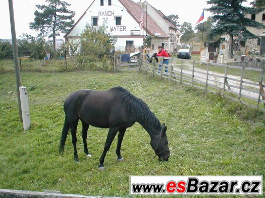Staré venkovské stavení – fotografie 1