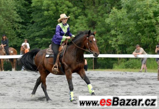 westernová "Závodní" košilka – fotografie 4