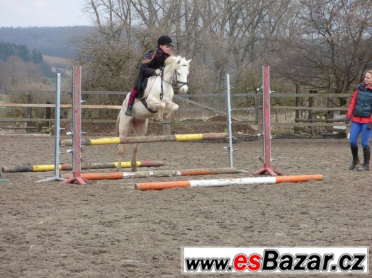 luxusní pony pro mladé jezdce -doprava 26.8.2015 směr Praha – fotografie 2