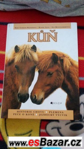 enciklopedie koni – fotografie 1