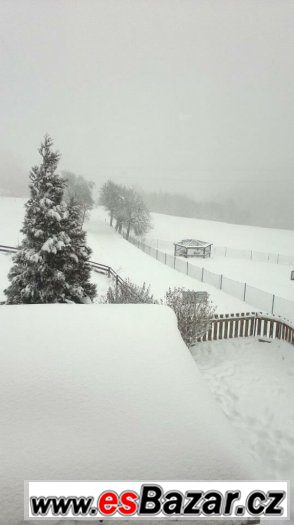 zahrada velka na prodej 1636m2 – fotografie 2