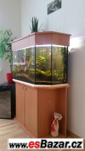 Prodám akvárium 190L se skřínkou komplet – fotografie 3