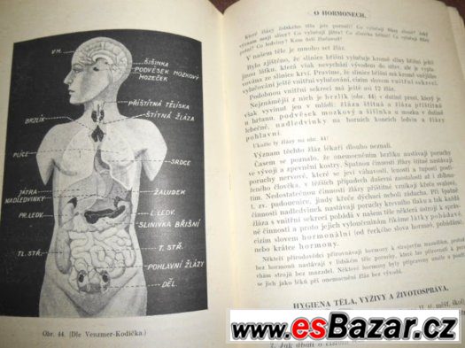 Biologie a Mineralogie s Geologií 1948 R. Pelíšek – fotografie 4