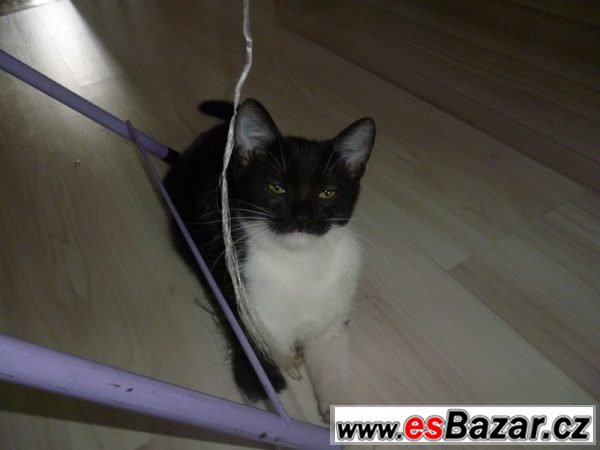 Malý Batman – fotografie 4