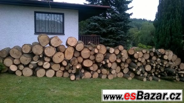 Prodej lipových špalků – fotografie 1