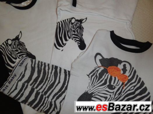 Set zebra 86-92 – fotografie 3