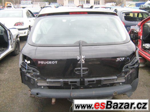 Peugeot 307 – fotografie 1