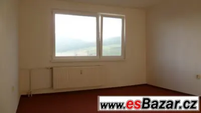 Pronajmu byt 1+1 v Děčíně