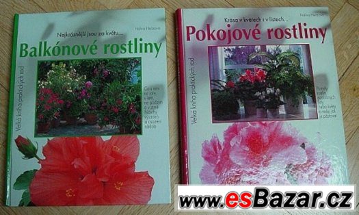 Pokojové, balkonové rostliny, okrasné stromy, trvalky 13 ks – fotografie 2