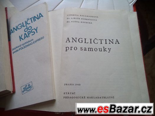 slovnik cesko-nemecky a nem.-cesky + pro samouky – fotografie 2