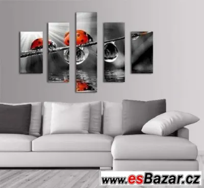 Fotoobraz, obraz - BERUŠKY - velikost 100 x 70 cm
