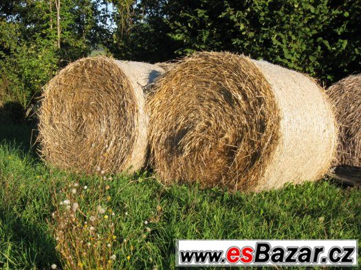 balíkovaná sláma – fotografie 1