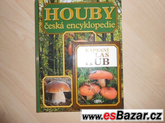 houby – fotografie 2