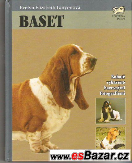 Kniha Baset              cena 89 kč – fotografie 1