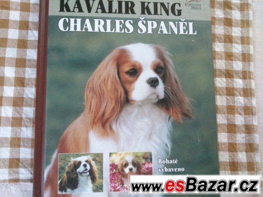 Kniha Kavalír King Charles Španěl           cena 89 kč – fotografie 1