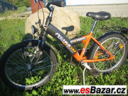Dětské kolo Pegasus ZOOM 20" Shimano Nexus – fotografie 1