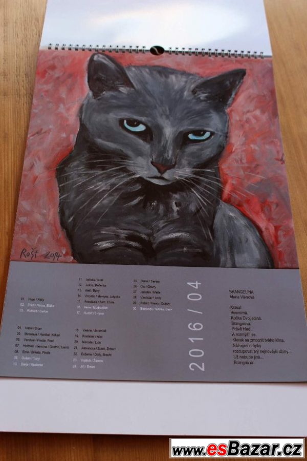 Kočičí kalendář a diář 2016 – fotografie 6