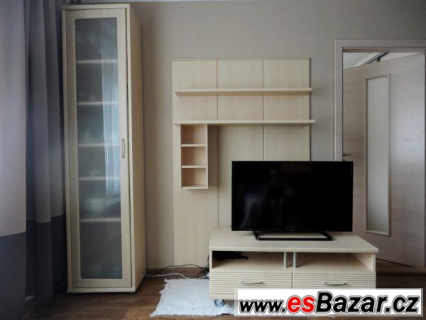 Obývací stěna dekor bříza – fotografie 1