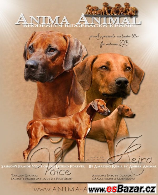CHS Anima Animal - RR s PP – fotografie 1