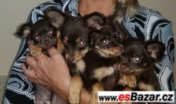 Nové dílenské ponky – fotografie 1