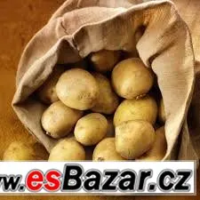 Brambory na uskladnění