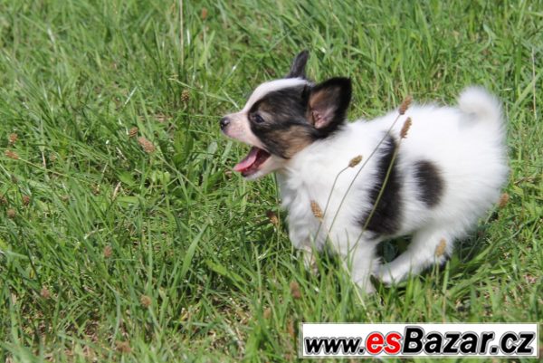 Ahooooj!!! – fotografie 7