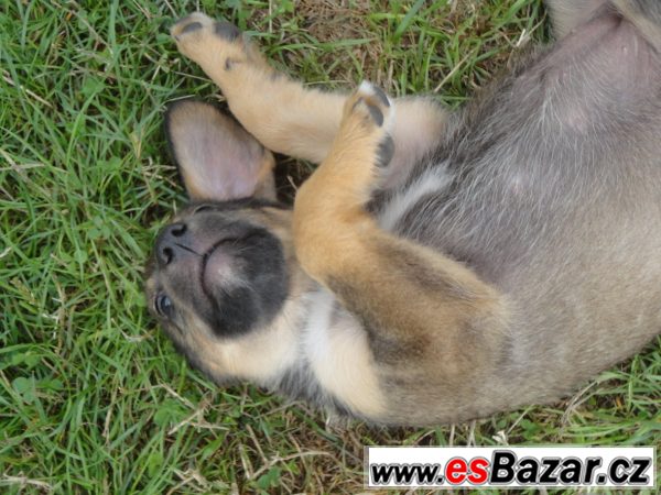 2 baterie a sprcha – fotografie 5