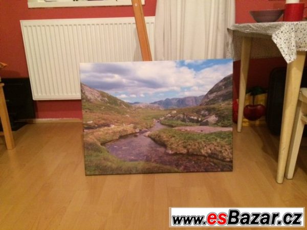 Obraz - fotka na plátně – fotografie 1