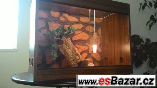 Prodám Terarium – fotografie 1