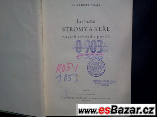 Listnaté stromy a keře našich zahrad a parků – fotografie 3