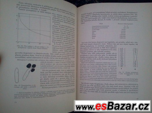 Obecná biologie – fotografie 4