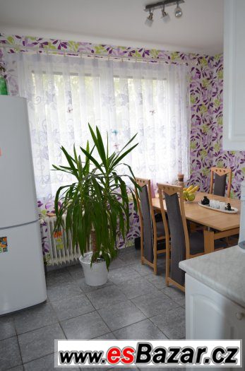 Přenechám byt u bytové společnosti – fotografie 4