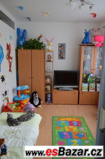 Přenechám byt u bytové společnosti – fotografie 5