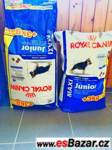 Royal Canin Maxi Junior – fotografie 1