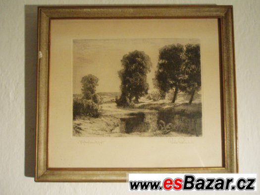 Obraz Krajina se stromy 32x37cm. – fotografie 1