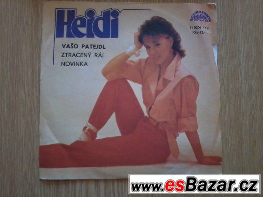 LP Gramofonové desky – fotografie 2