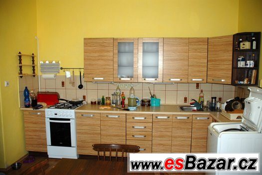 3+1 Olomoucká, cihla – fotografie 2