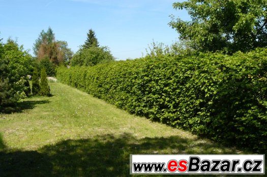 Stavební pozemek s chatou a zahradou – fotografie 1