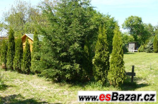 Stavební pozemek s chatou a zahradou – fotografie 4
