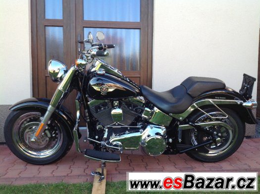 Harley Davidson – fotografie 1