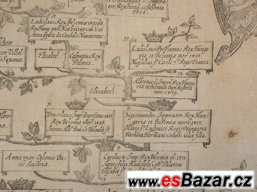 rodokmen českých králů z roku 1606 - Albizzi Florencie – fotografie 3